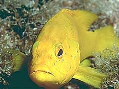 086 - poze muuuuuuuuuuuuuulte