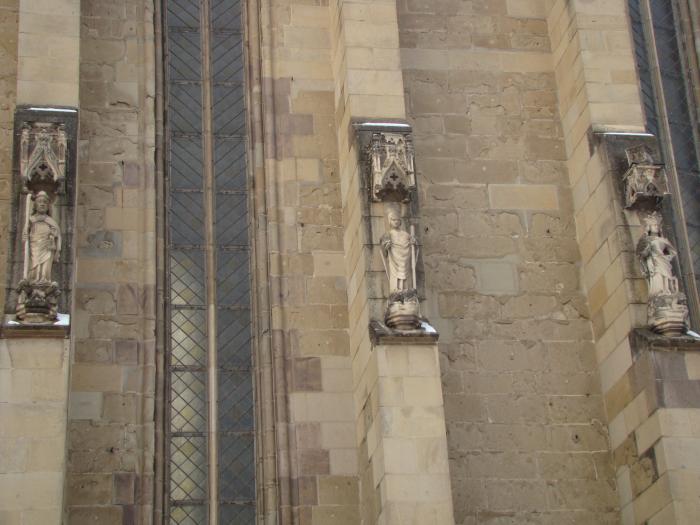 DSC05731 - poze Ianuarie 2009