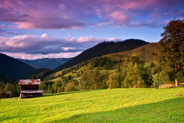 palaghioi-Dulcea-Bucovina