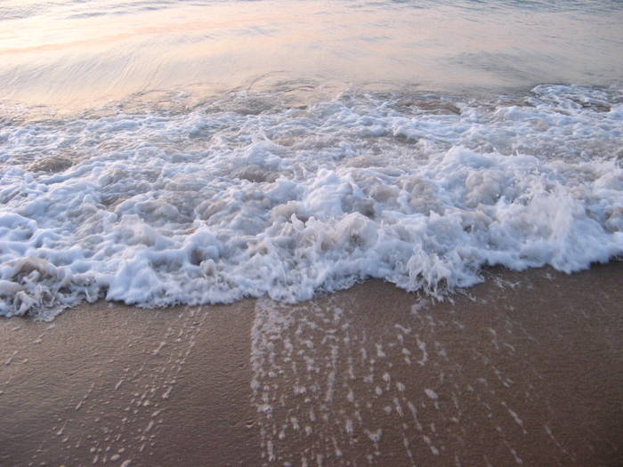 004 - rasarit 09 aug 2009