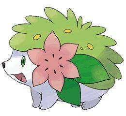 492shaymin