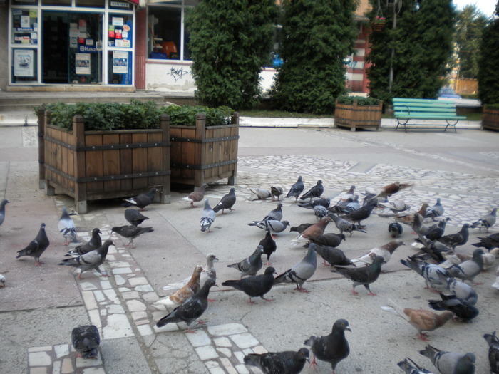 DSCN0142 - 18f Targoviste