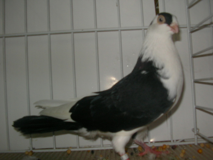 SANY0112