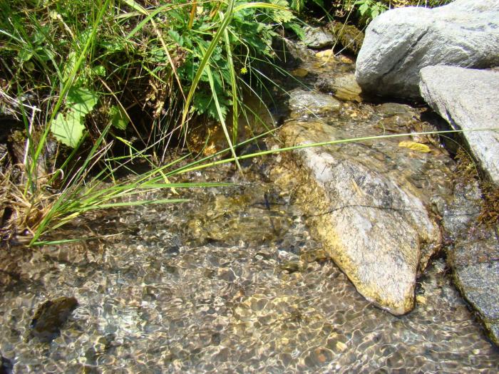 DSC01972 - Concediu 2008