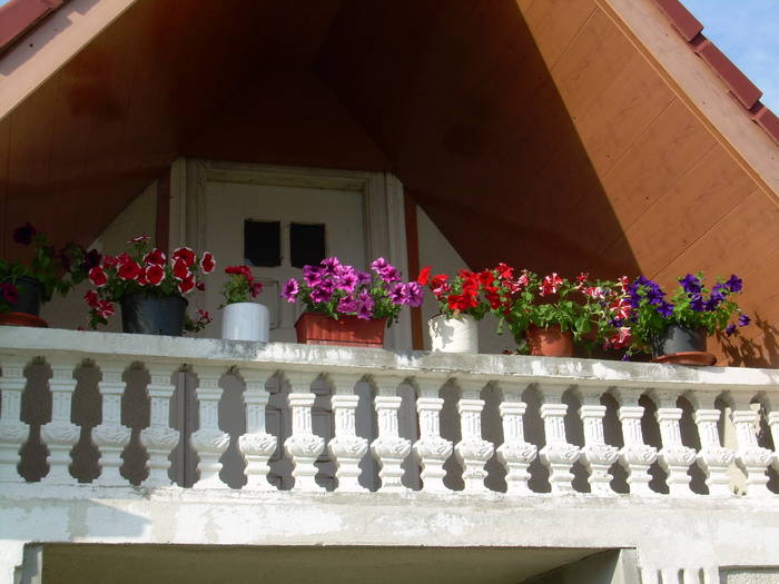 9.01.2009 372; la balcon
