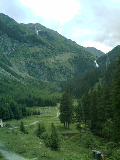 IMAG0037