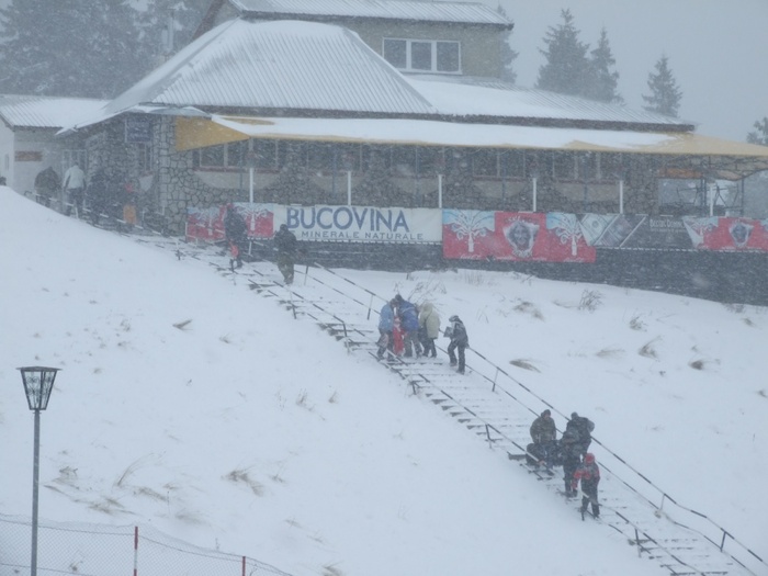 Craciun Cota 1400 013