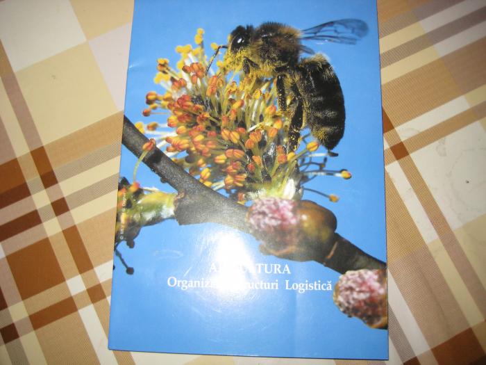 Apicultura-Organizare, structuri, logistica