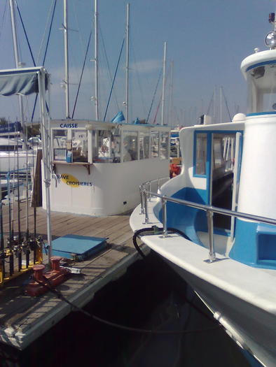 Imagine1256 - ApiMondia