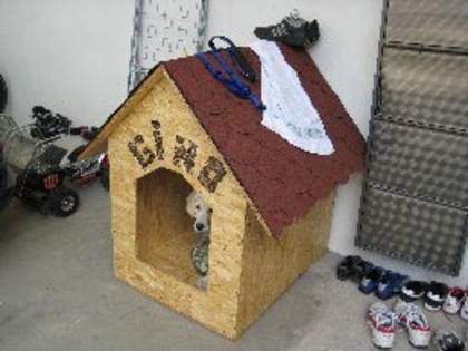 0740567857 - Boxe Custi LA COMANDA