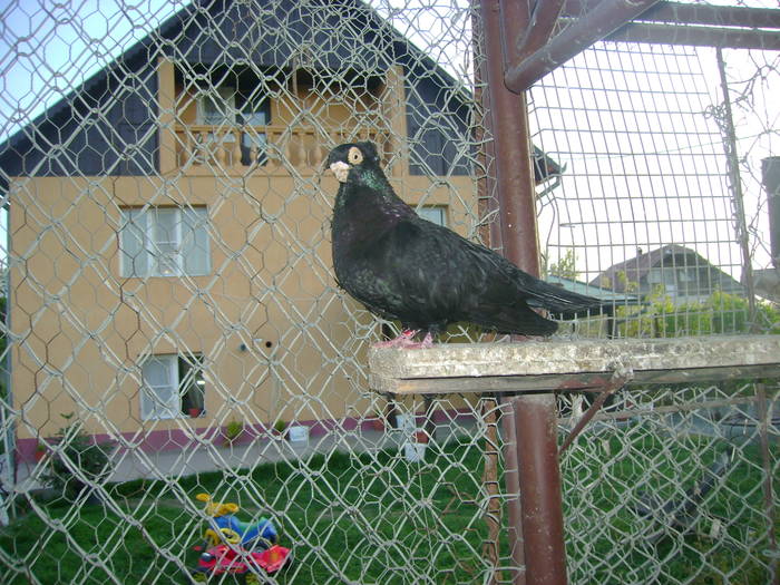 DSC02366