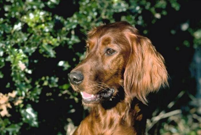 EKQQLEJHQFDFOFPSRDX[1]