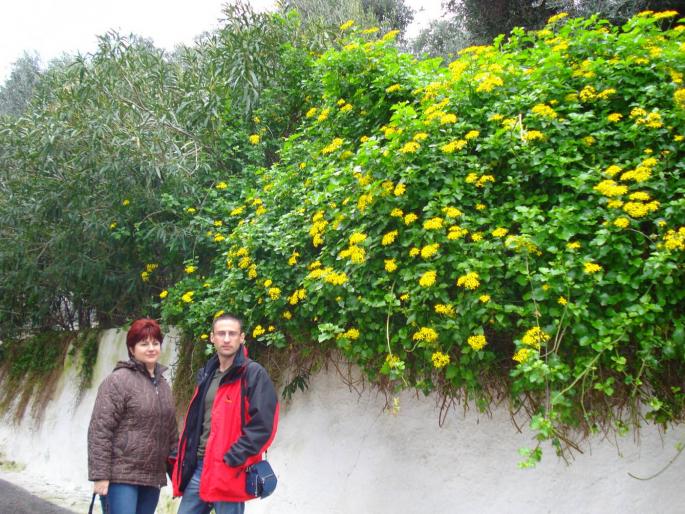 179 - Manastirea Fecioarei Maria - 2008 REVELION CORFU