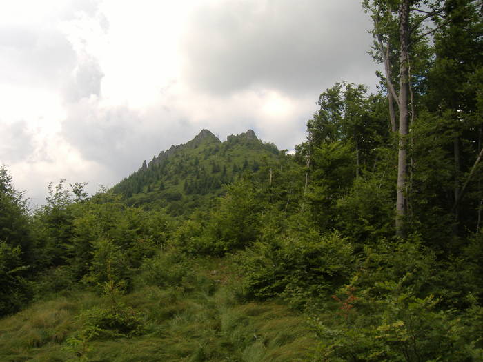 DSCF6132