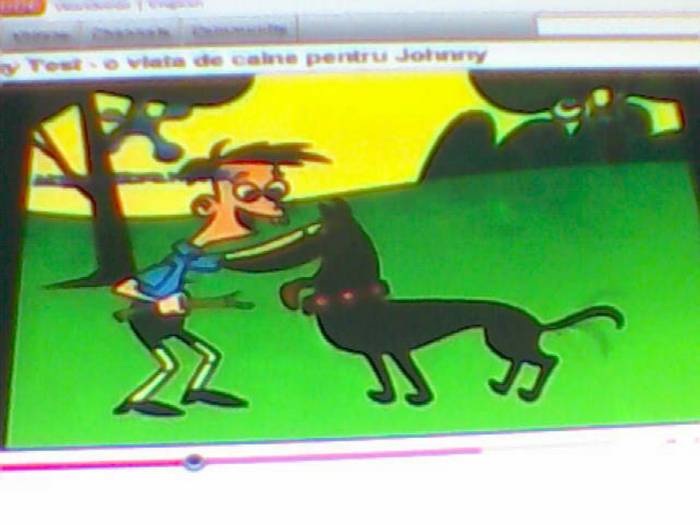 snapshot-3134 - Video Hsm Vedete