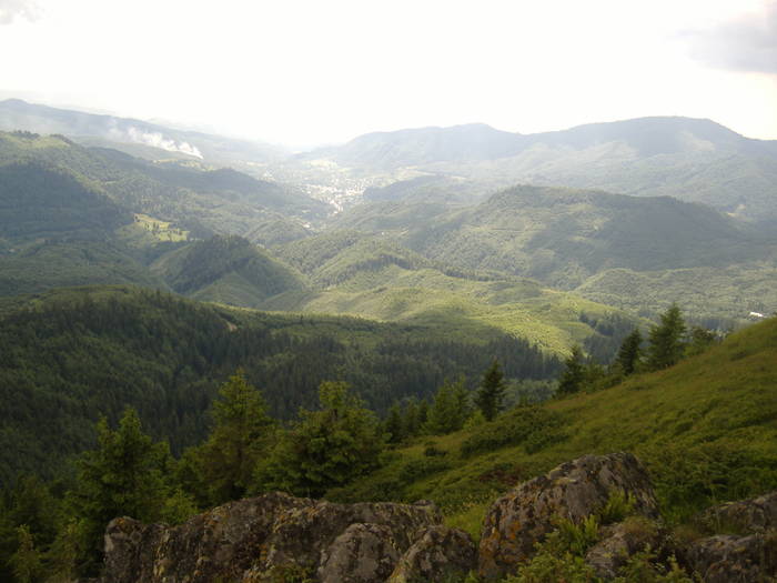 DSCF6138