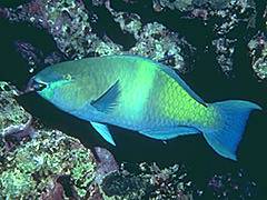 078 - poze muuuuuuuuuuuuuulte