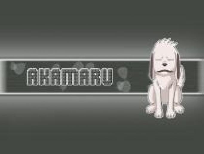 Akamaru - Poze cu toate personajele din Naruto