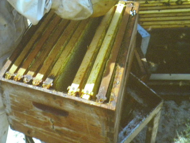 DSCN1963