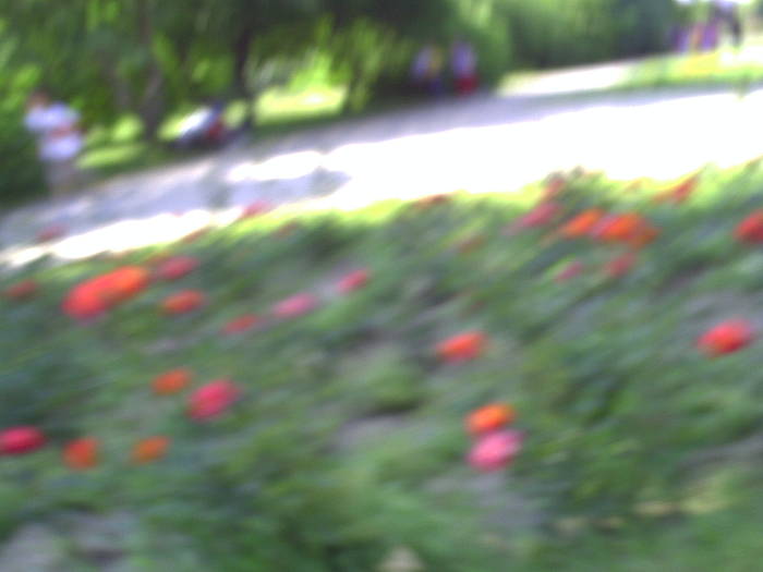 PICT0168 - EXCURSIE  in DELTA