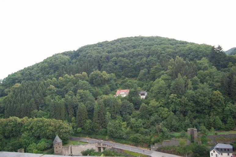 Resize of DSC_0221 - iulie 2008