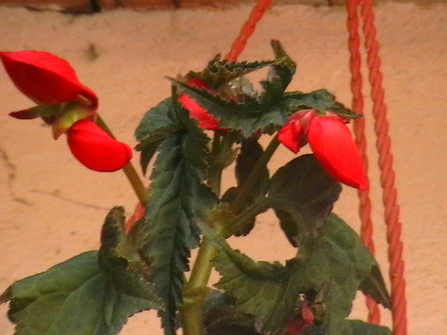 Picture 019