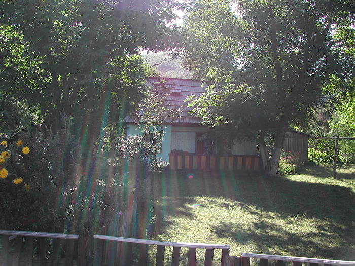 Picture 082 - Firiza