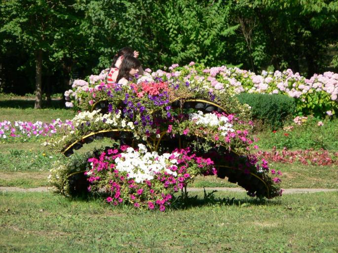 P1000102 - 2007 in plimbare prin herastrau