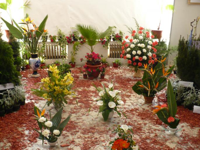 P1010320 - Pitesti 19 aprilie 2008 - II