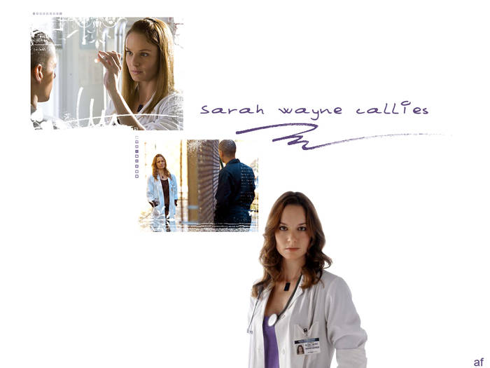 sf3 - Sarah-WAYNE-Callies