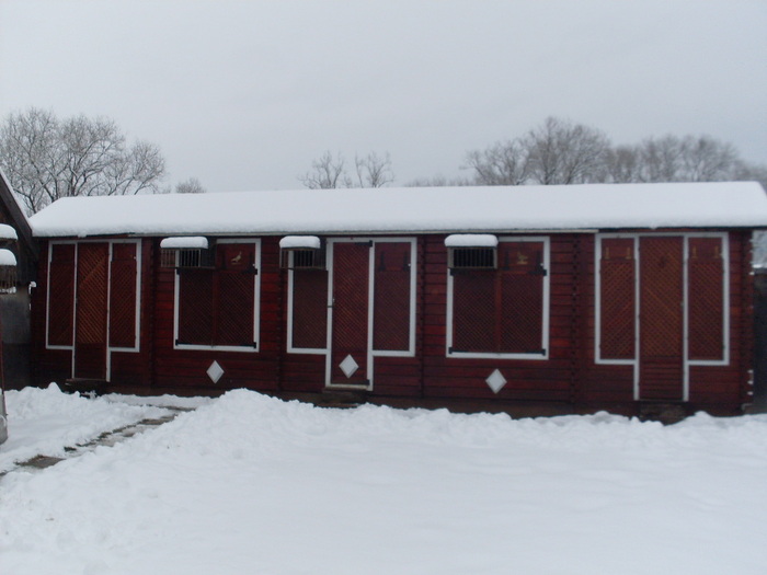 Somn de iarna=Teli alomban - Ducok-Buildings for pigeons -Voliera