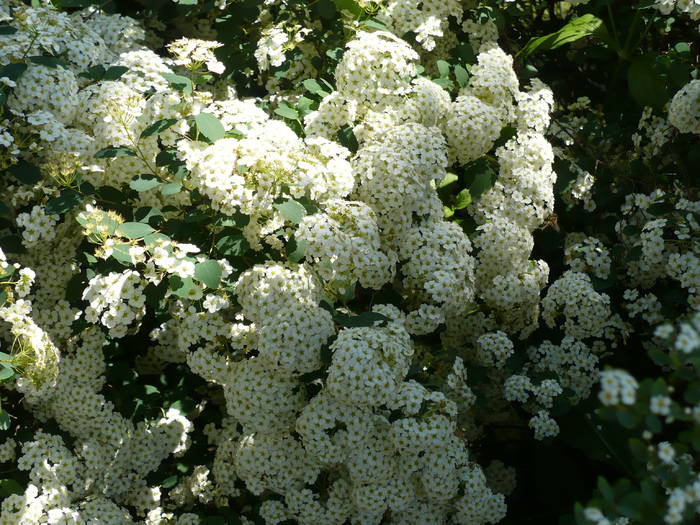 P1120007