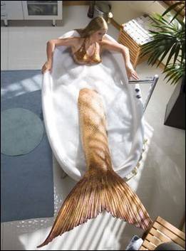 LHYZWPANVLWIZFSKSDU[1] - imagini h2o