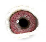 LNXMHHHLIRQPCXVZOMD - OCHII PORUMBEILOR