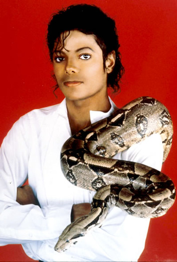 400_mjackson_090625_1445415 - Michael Jackson