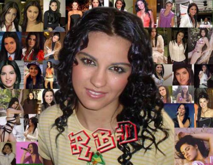 i133590896_77588_6[1]