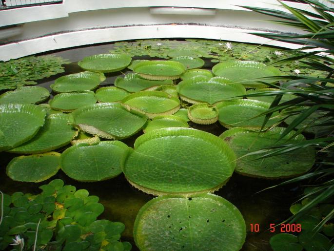 DSC03131