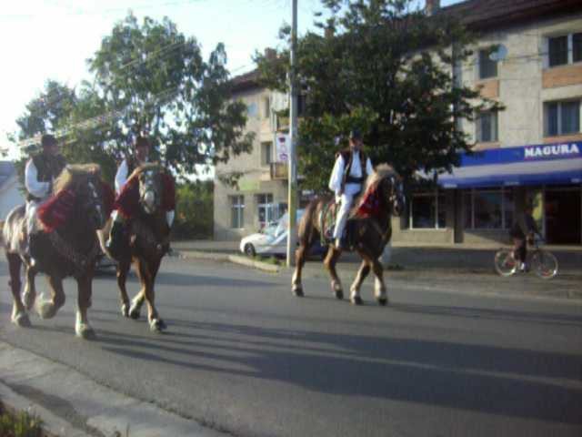 Picture 223 - nunta cu cai in Bucovina 2009 in Campulung moldovensc Suceava