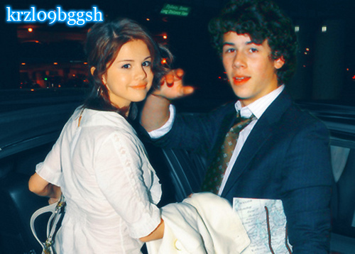 Nelena-3-selena-gomez-8193259-500-358