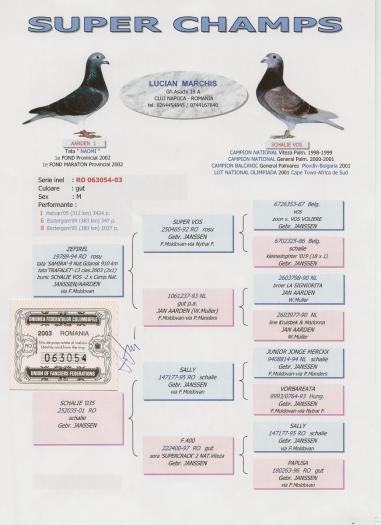 Pedigree Samir - Matca