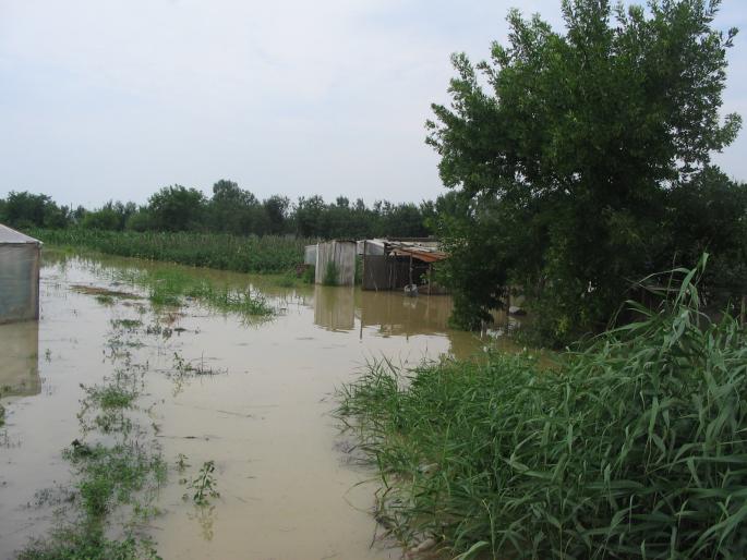 inundatii (84) - inundatii 2005 Galati