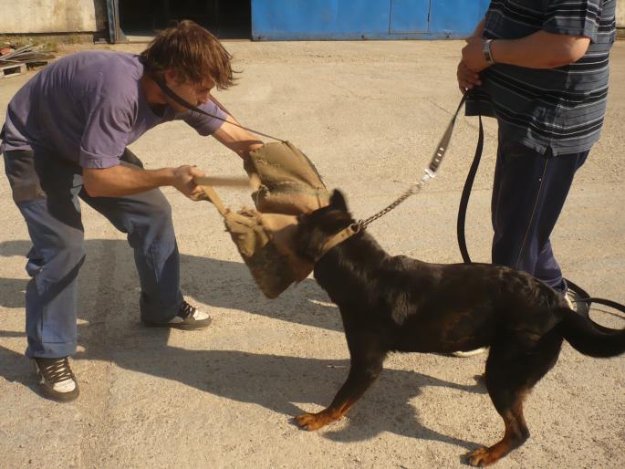 TYRA V HAUSE ONUL; SUPER PRIZA.
