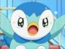 8i79 - piplup
