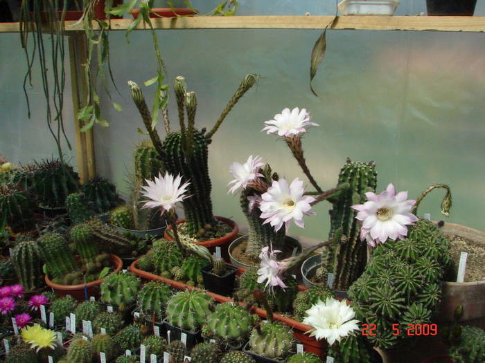 DSC05840