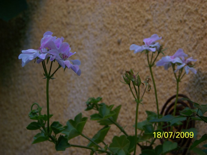 100_8033