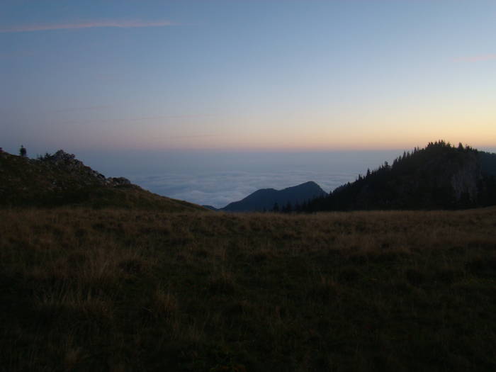 DSC00422