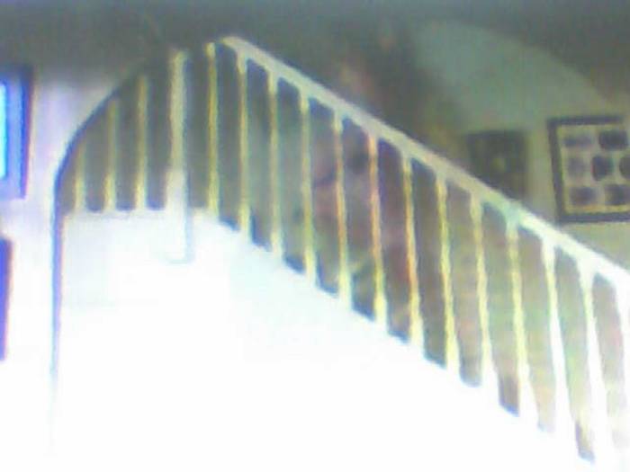 snapshot-389 - Sora lui Cleo Kim