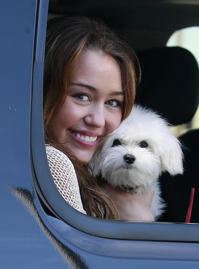 Destiny (441) - Miley Cyrus