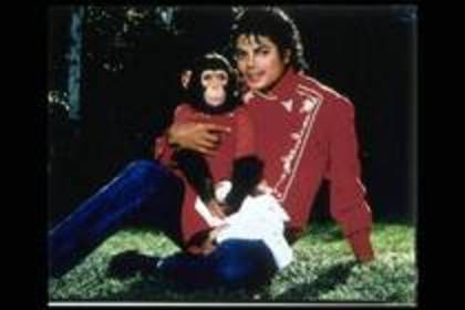 FMKCMQTNAUPCRWPZAGZ - Alege poza cu Michael Jackson