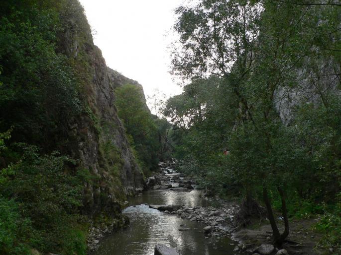 P100089